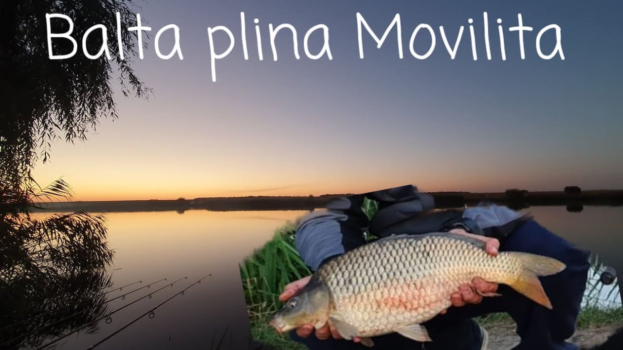 Pescuit pe Balta plina Movilita - Turul baltii