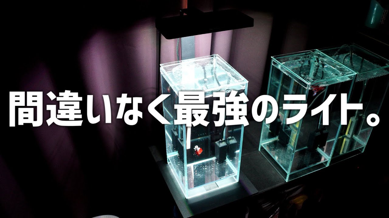【小型水槽用】遂にUSB駆動のRGBライトが登場。コスパ&性能抜群のライトの正体とは！MINI9RGB #619【アクアリウム】