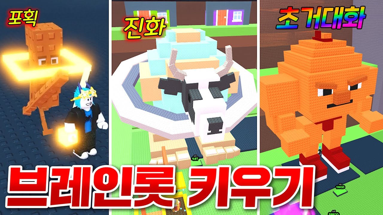 야생에서 브레인롯을 잡아 키우는 게임ㅋㅋㅋㅋ 엄청나게 거대해진다!!!!! (로블록스 브레인롯키우기)