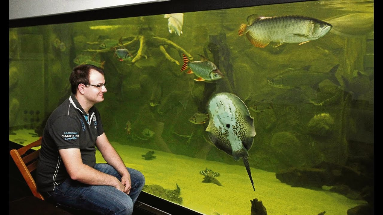 Inhalt von 500 Badewannen: Riesiges privates Aquarium in Niestetal