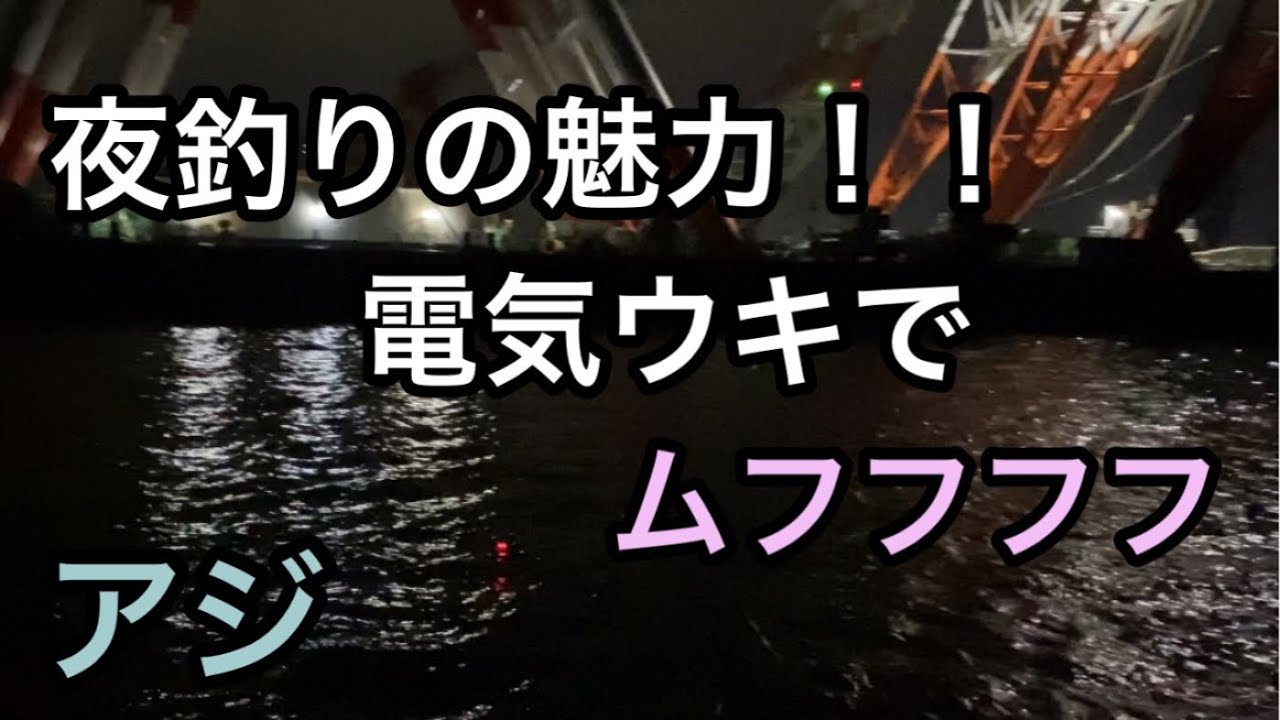 夜の堤防で電気ウキは入るのか？5月頭のアジ狙い！