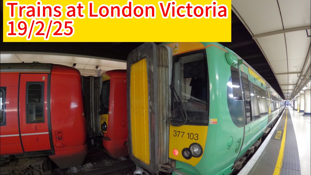 Trains at London Victoria (19/2/25)