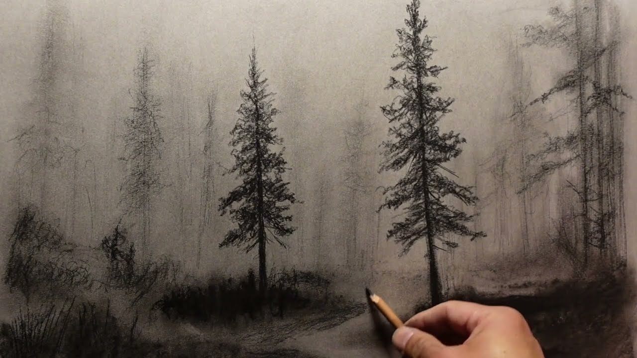 How to Draw a Misty Pine Forest in Charcoal | Easy Step by Step Tutorial