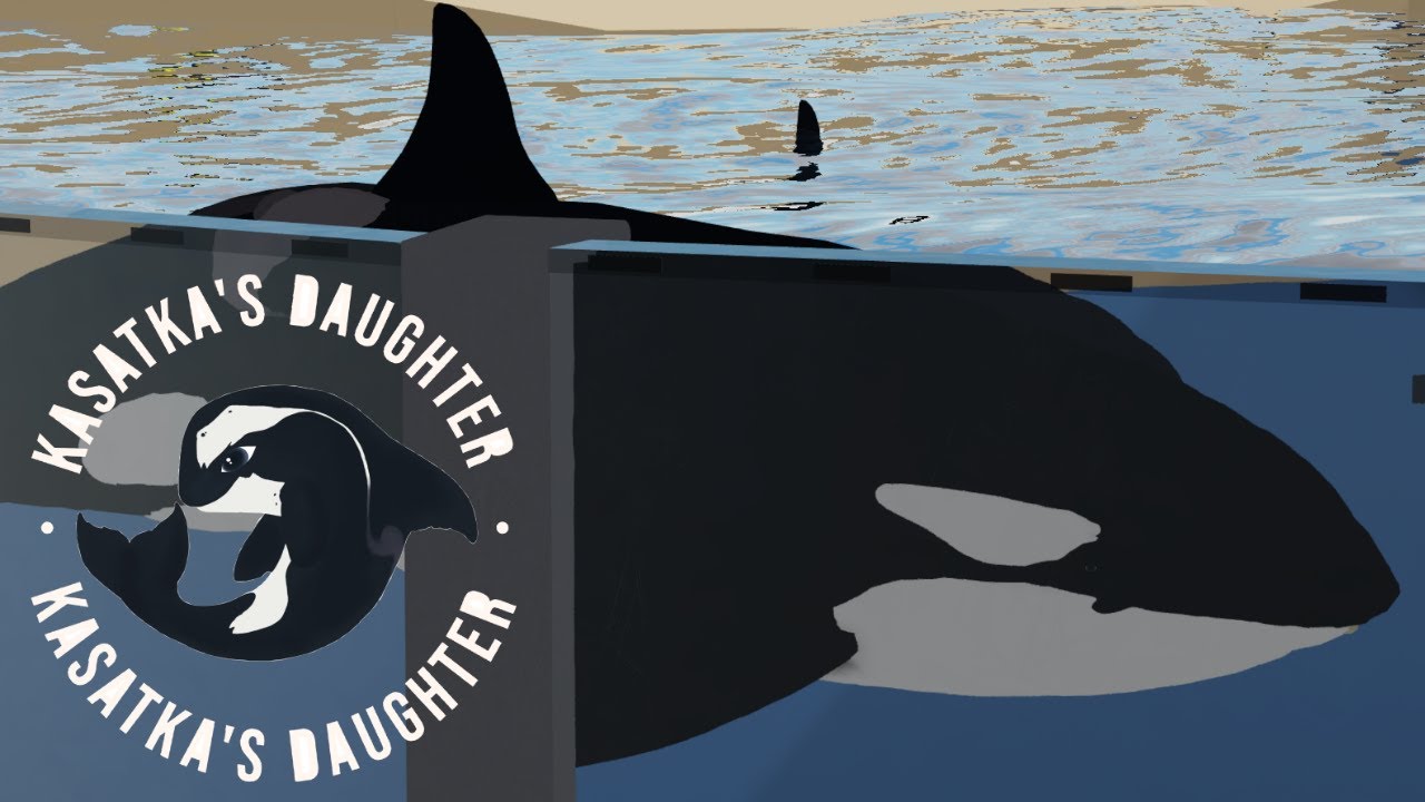 ORCA OCEAN PRESENTATION!! -11/25/23- (MMRC Loro Parque Roblox)