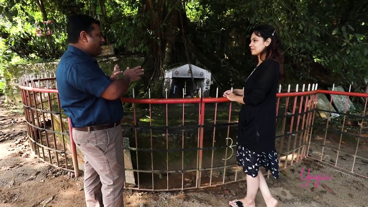 Haunted Story of Chain Tree | Wayanad