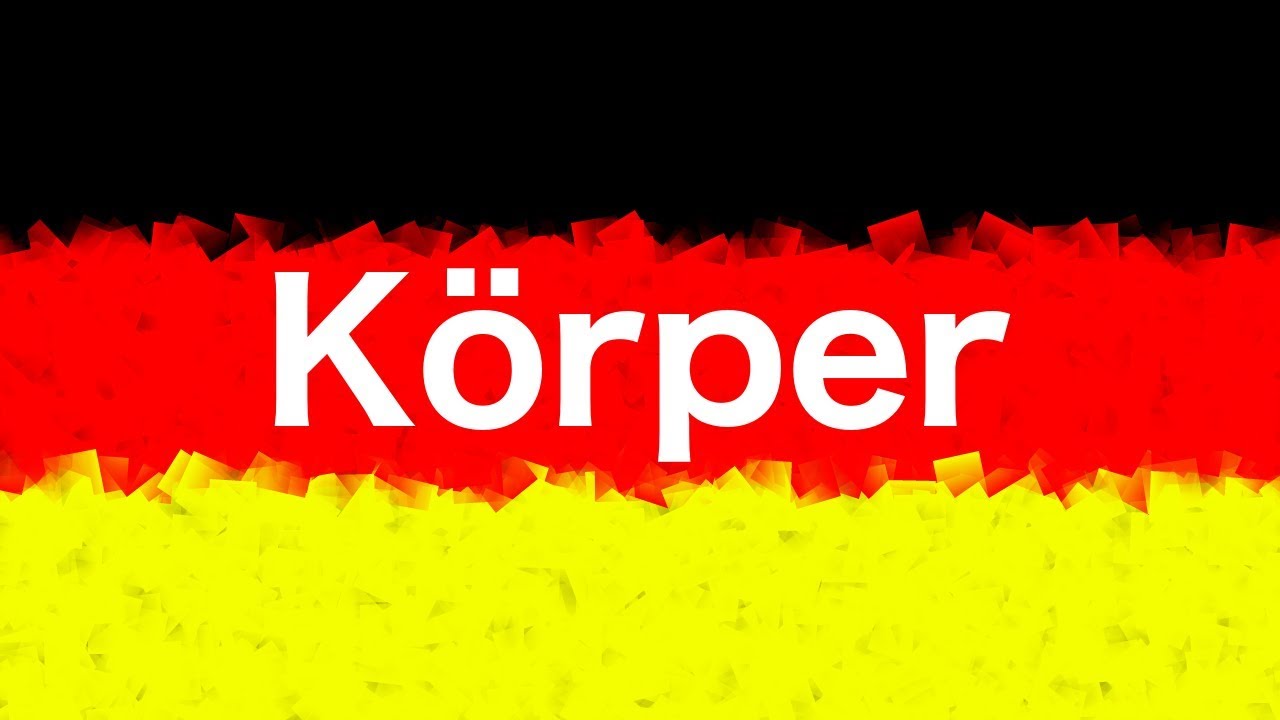 Vocabulario alemán: el cuerpo - der Körper - (50 palabras)
