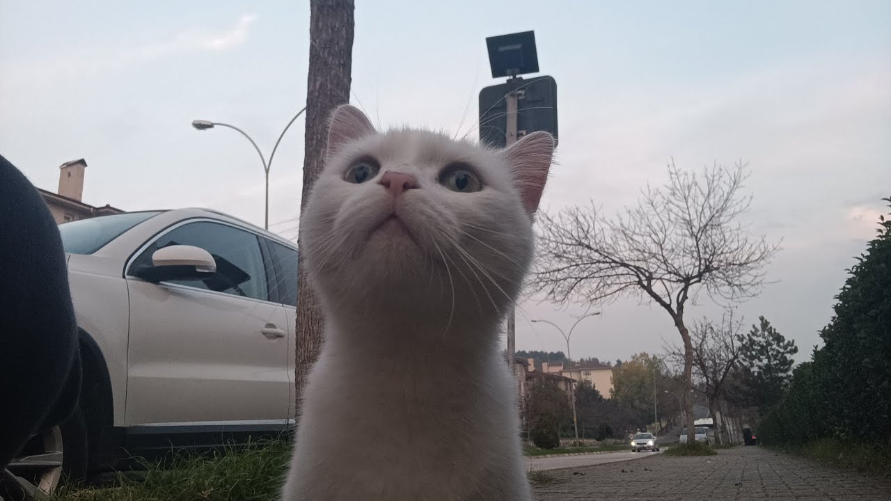 Pesligmaci ilk hafta yenildik sikildik hocam