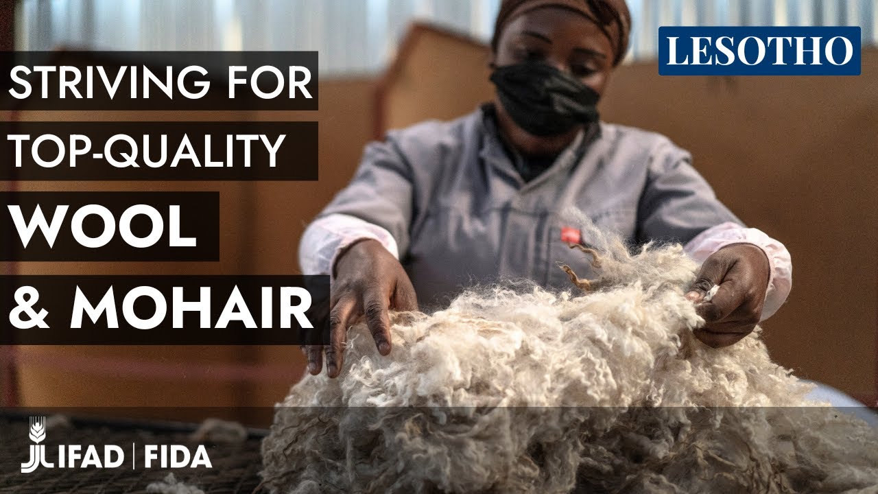 Lesotho: where your wool jumper was born