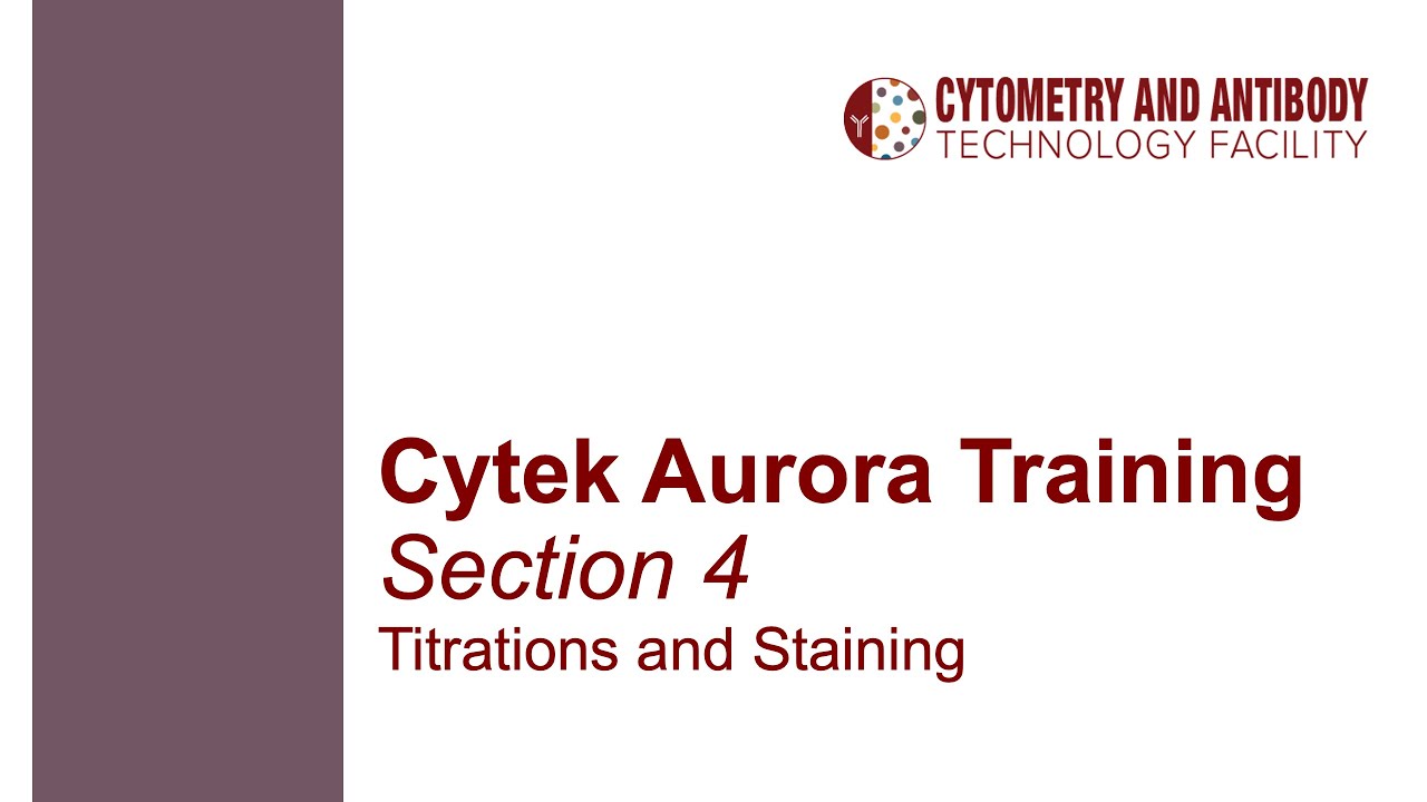 Обучение работе с Cytek Aurora, часть 4: Титрование и окрашивание