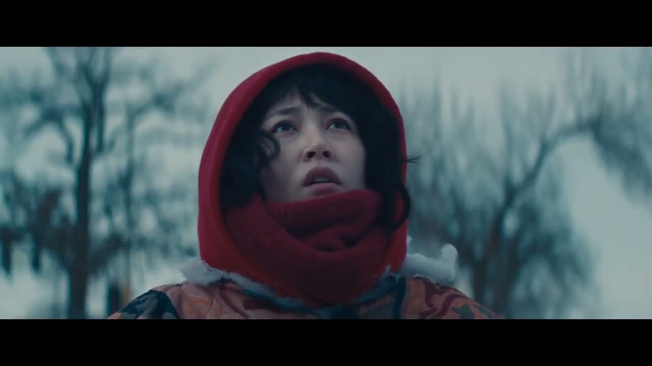 Kumiko, the Treasure Hunter 2014 Trailer (a David Zellner film)