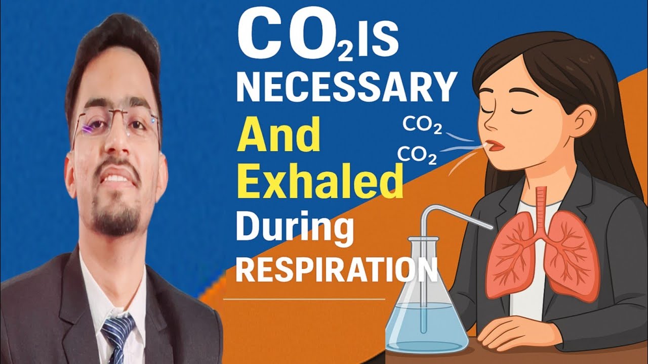 👨‍🔬 CBSE Practical