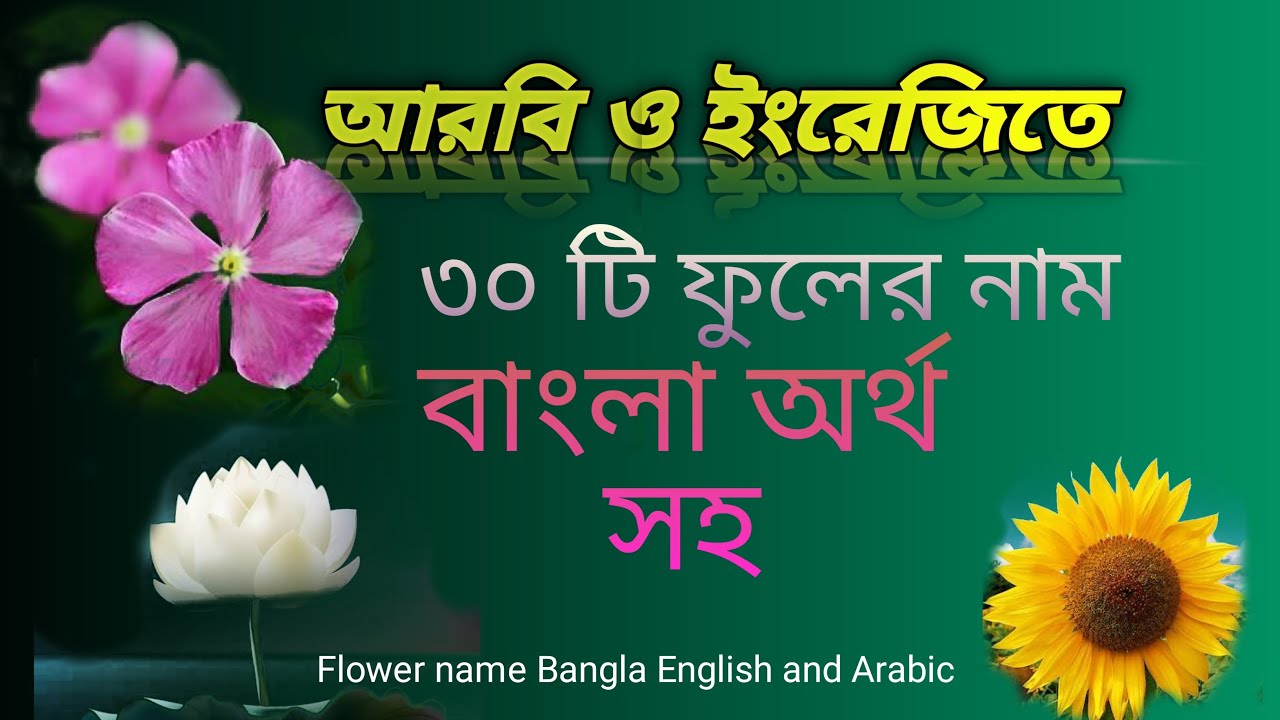 Best flower name Bangla English and Arabic with My language learning