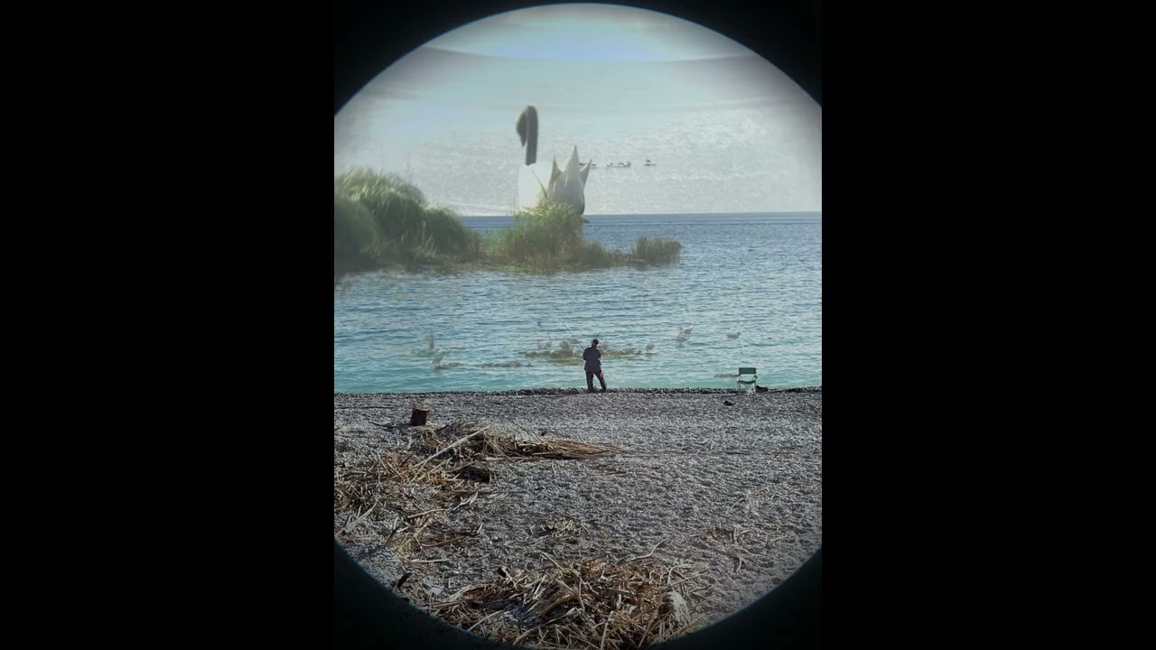 Swan Lake - [Lofi Hip-Hop Beat]