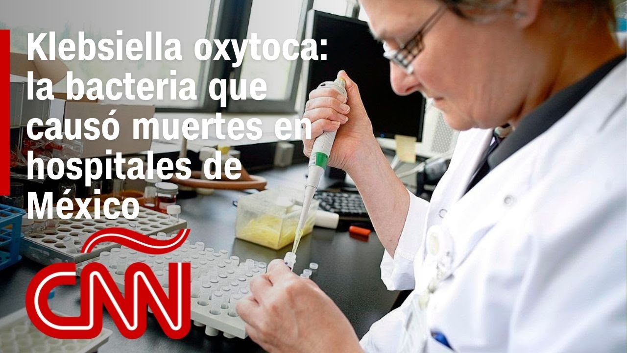 Klebsiella oxytoca: la bacteria que causó muertes en hospitales de México