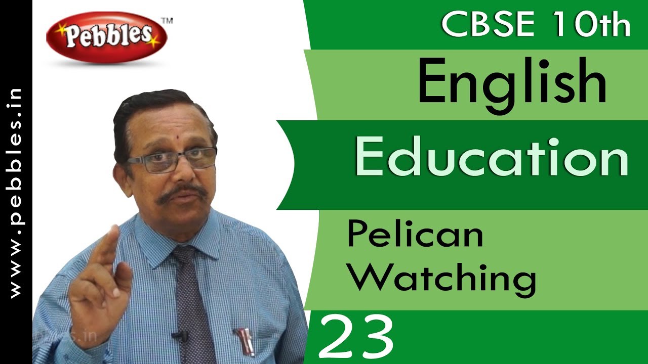 Pelican Watching-2 : Education | English Main Course Book | Class 10