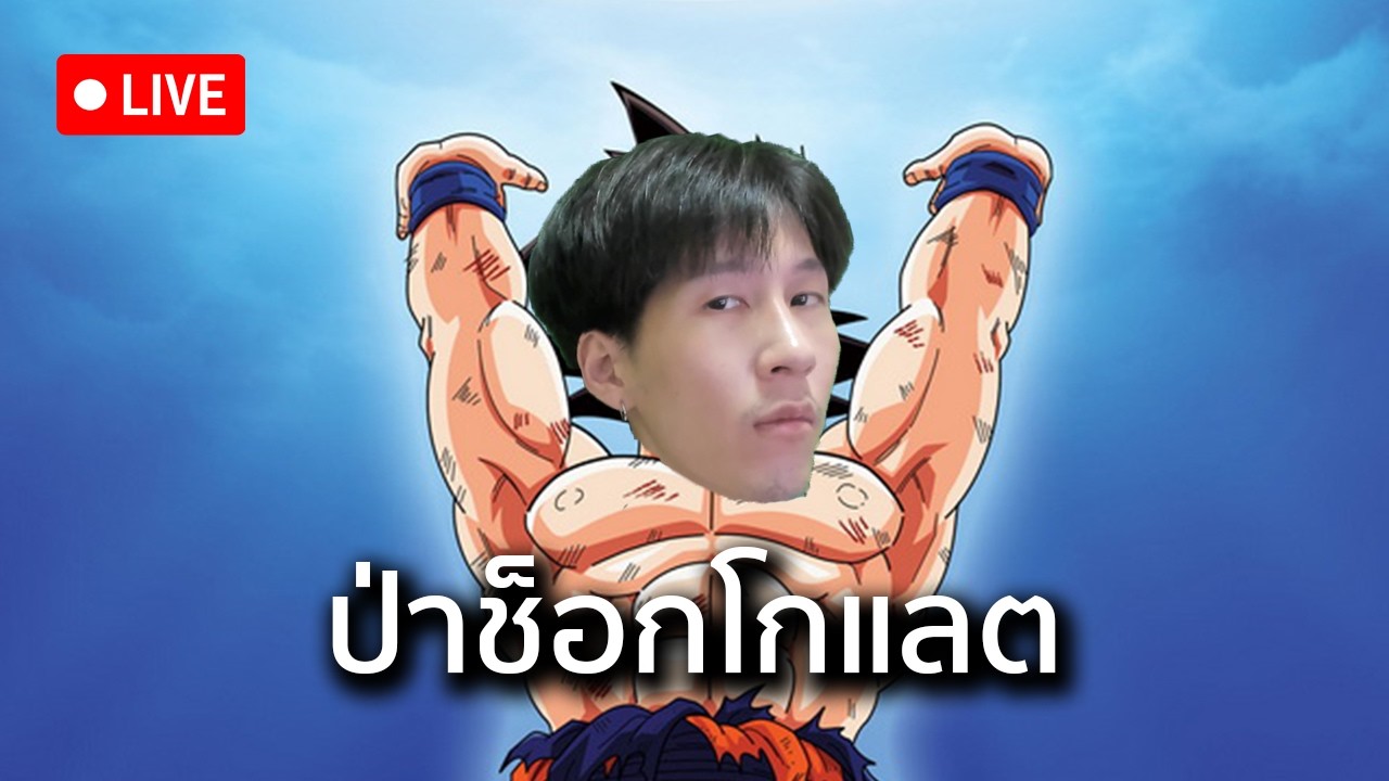 ป่าช็อกโกแลต