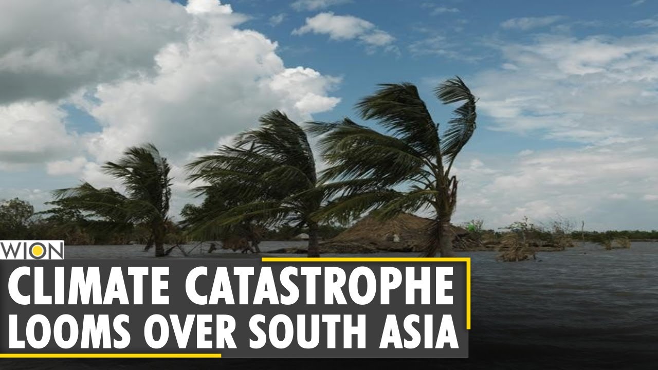 Fineprint: Climate change could create 63 million migrants in South Asia | World News | WION News