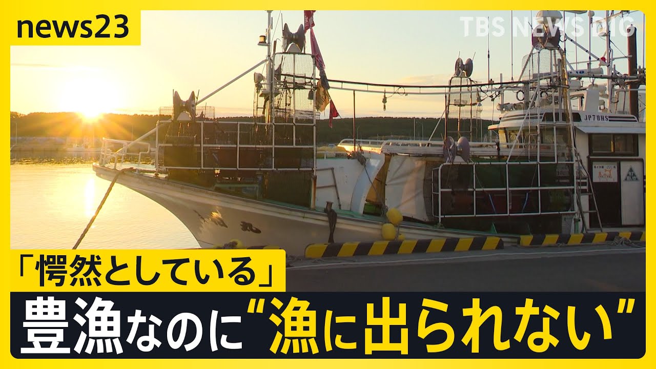 【スルメイカ漁師から悲鳴】豊漁なのになぜ&ldquo;休漁&rdquo;？&nbsp;漁獲枠めぐり漁業関係者と水産庁が対立【news23】｜TBS&nbsp;NEWS&nbsp;DIG