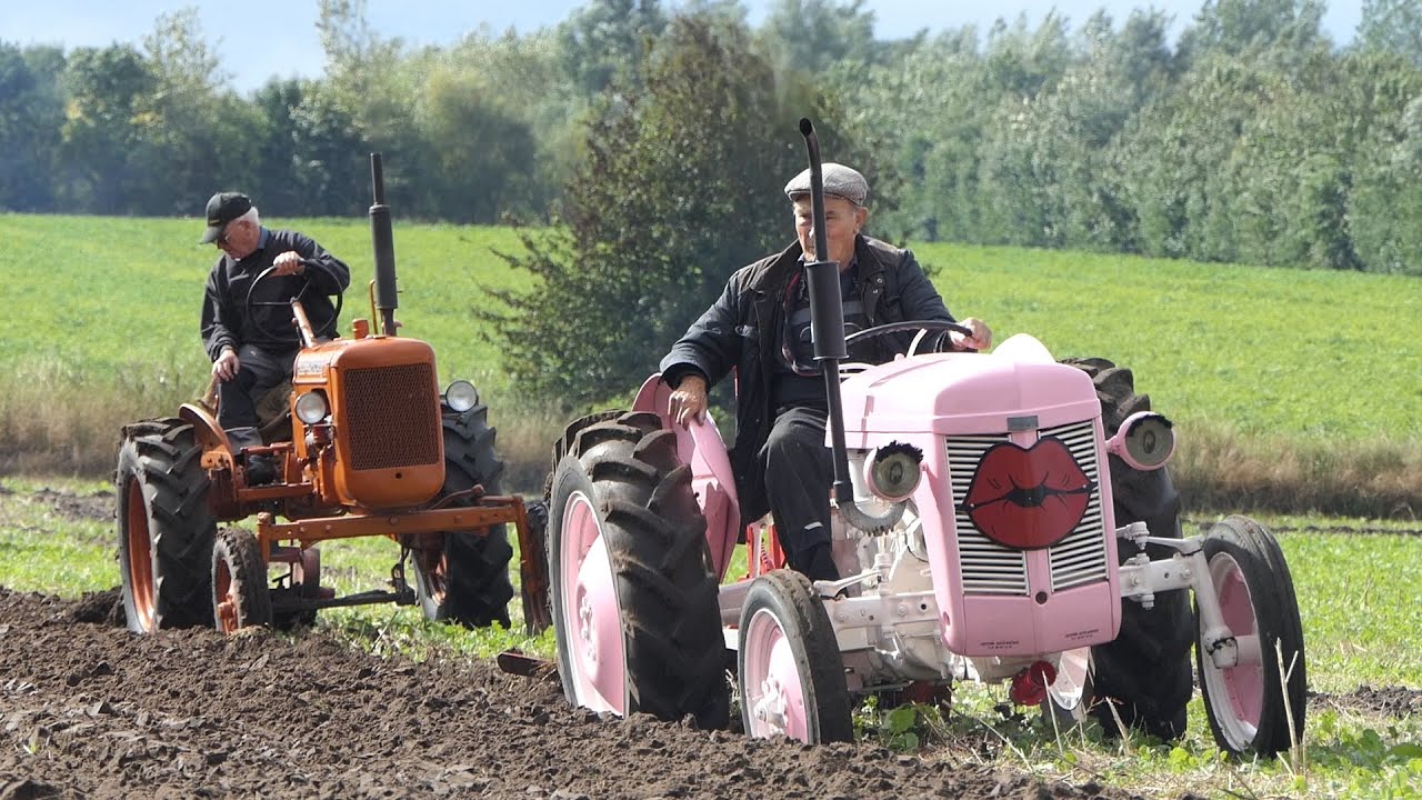 Antique Tractor ploughing day - Full Event | Old & Restored Tractors in the field Ploughing | Agri
