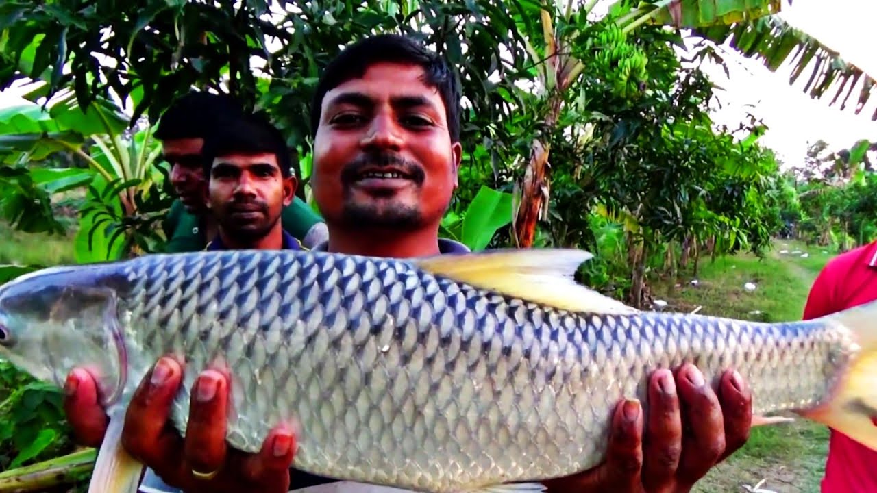 Fish Cutting Knife Skills Big Mrigal Fish Cutting & Chopping | TR FISHING