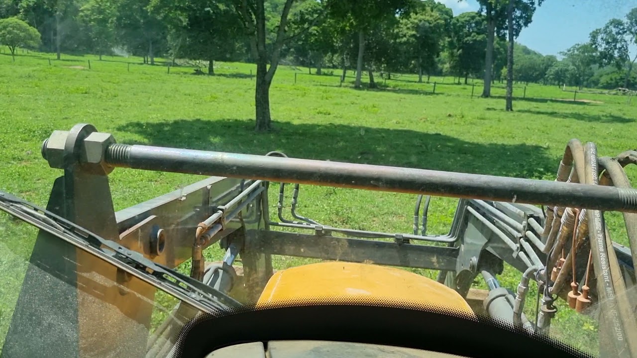 HERBICIDA EM MASSAY? TOMEM CUIDADO - 2.4D E PICLORAM FAZEM MAL PARA ELE.