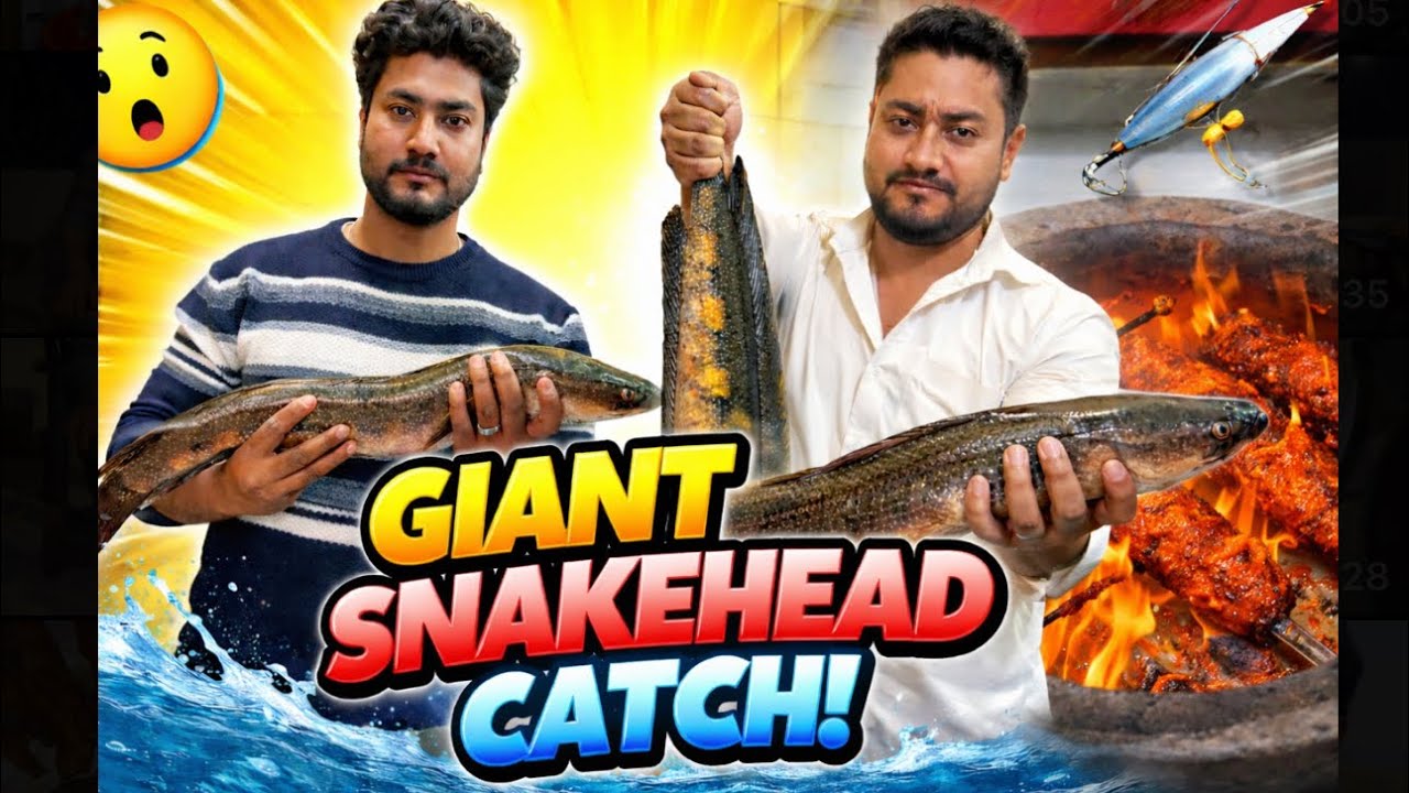Snakehead hunt 🦈🎣 my first catch and cook                         |@Kingfisherworld7||sksh|| 