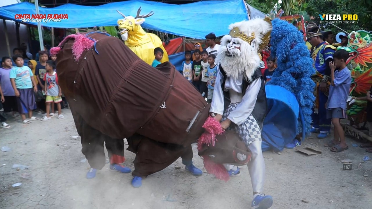 WOWW EXCLUSIVE DETIK-DETIK MACAN GAJAH KUDA MENJANGAN TARUNGAN | BUROK 