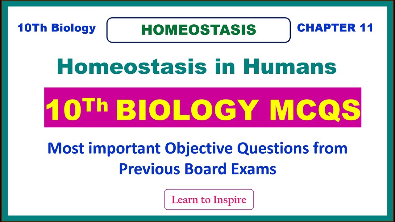 Homeostasis in Human. #10BiologyMCQS Chapter 13, #HomeostasisMCQS, #10Biologylti,