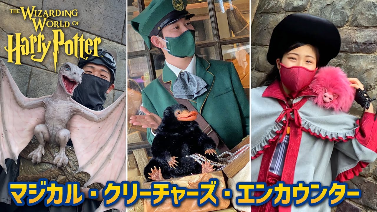 ニフラー × ベビードラゴン × ピグミーパフ！ 魔法生物、ユニバに大集合  / USJ【マジカル・クリーチャーズ・エンカウンター】プレ2