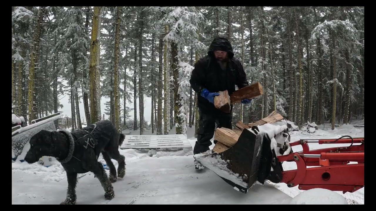 Getting firewood for the big storm coming (stat tuned)