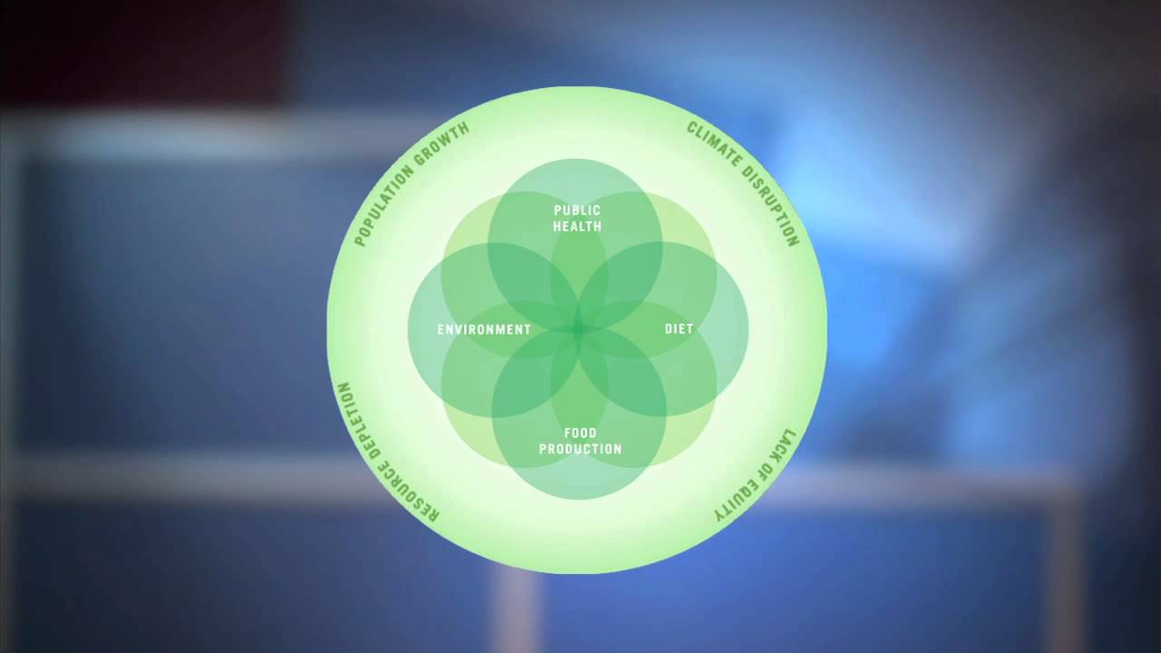 Introduction to the U.S. Food System: Perspectives from Public Health by John Hopkins University