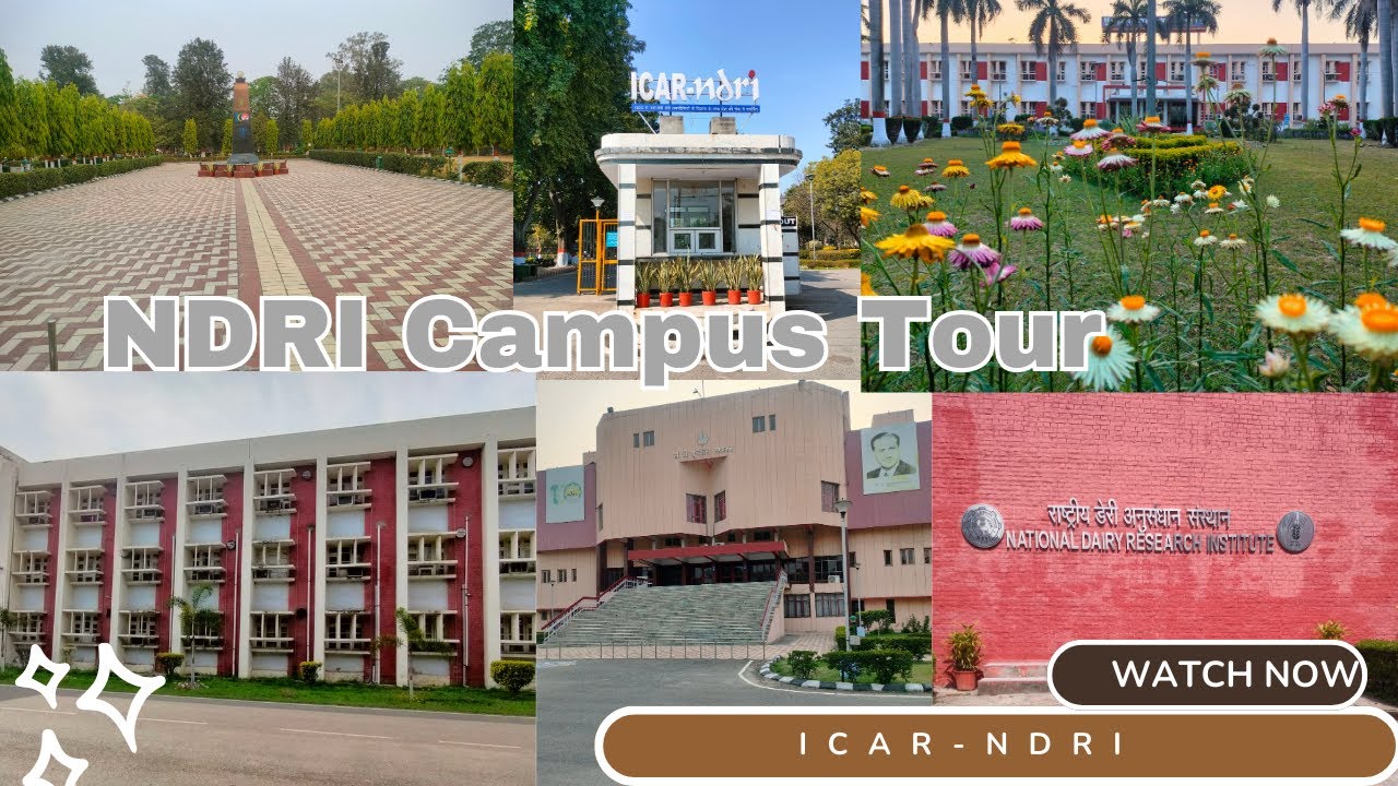 || ICAR-NDRI Campus Tour || Part - 01 || Haryana || Karnal || Glimpses of NDRI ||