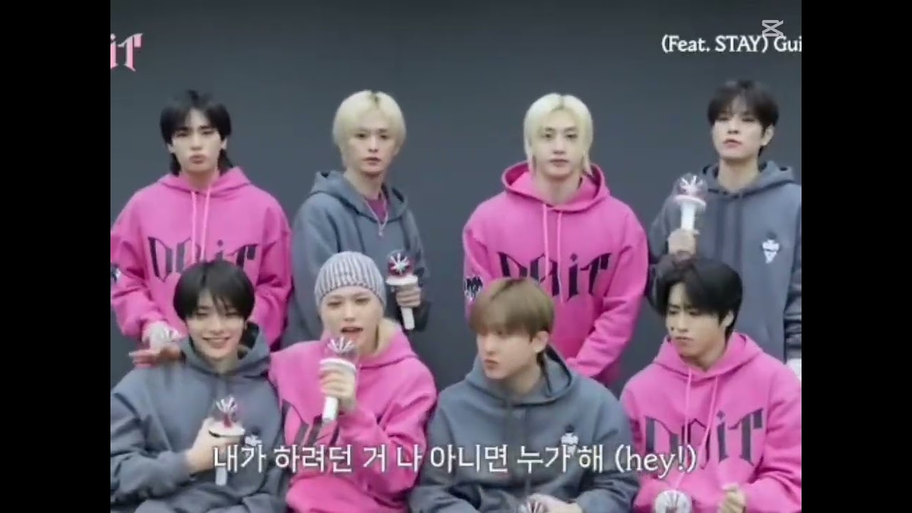 Stray Kids reaction to their song Do It