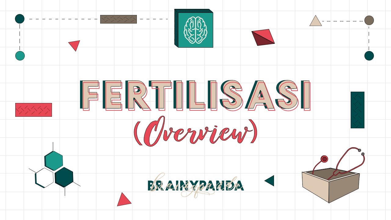 Fertilisasi: Gamet, Gonad, Diploid, dan Haploid | Ilmu Biomedik Dasar