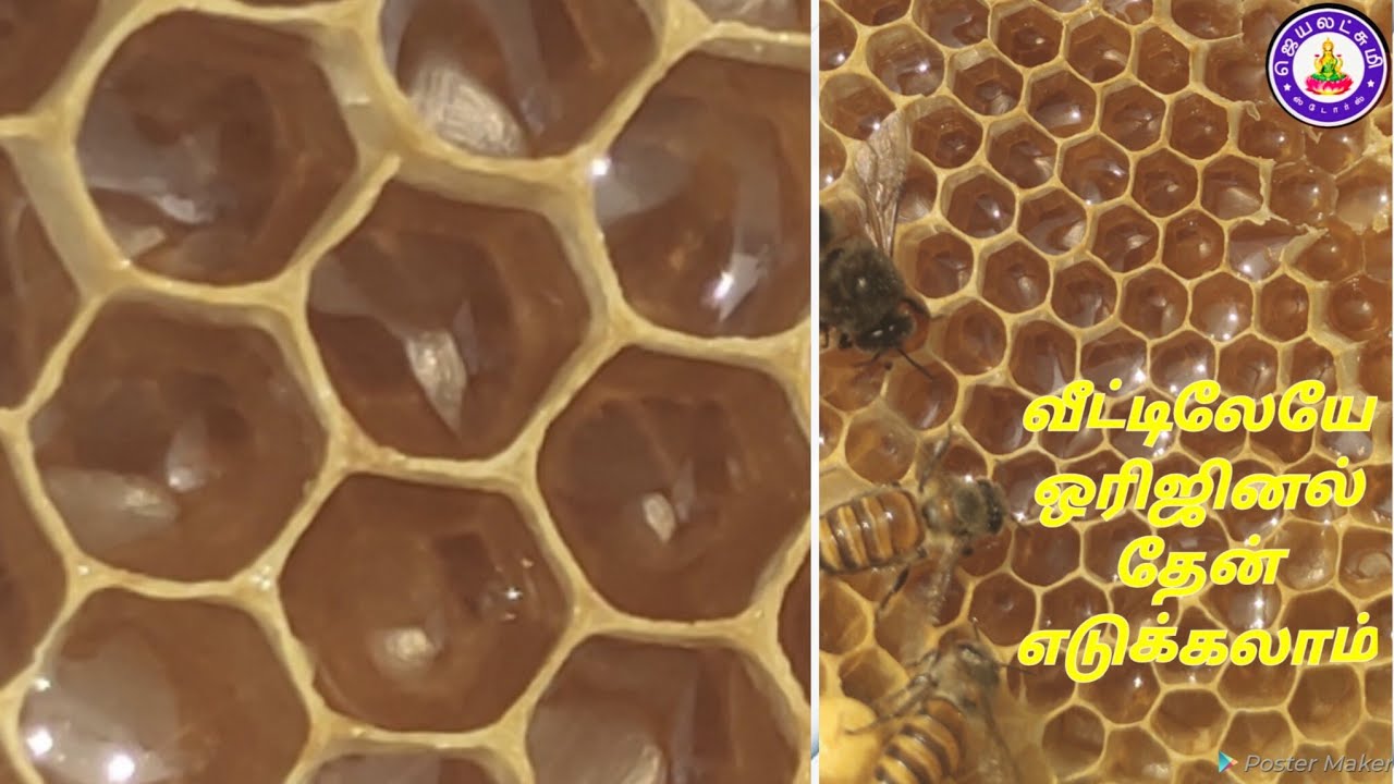 Bee box in Chennai surrounded available here....✨🍯