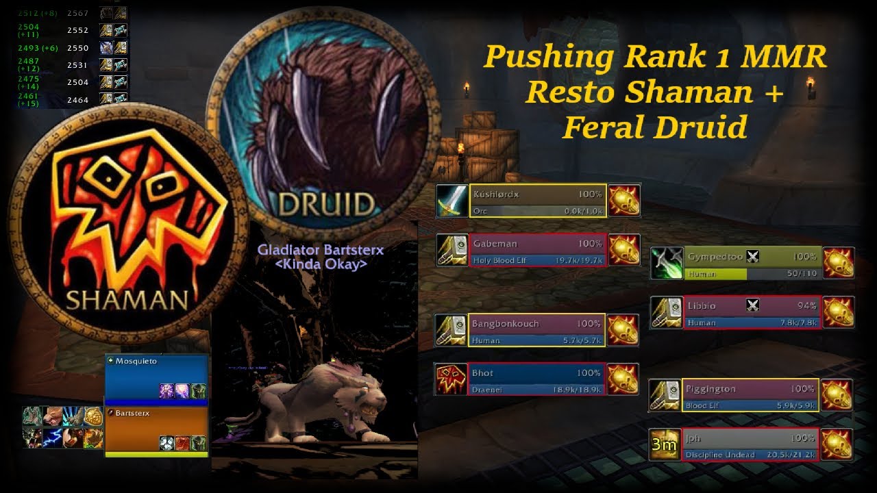 Pushing Rank 1 MMR as Resto Shaman Feral Druid