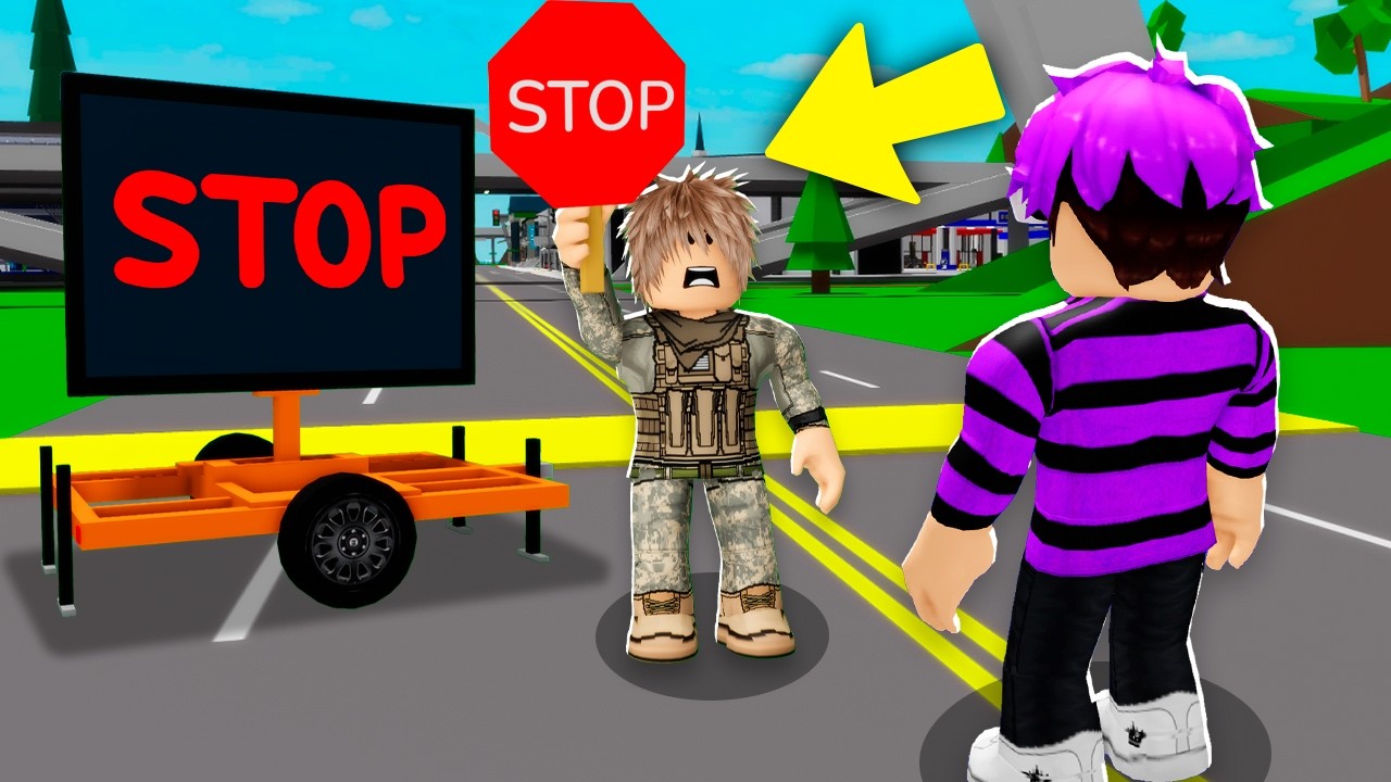 I WAS STOPPED AT THE BORDER of BROOKHAVEN
