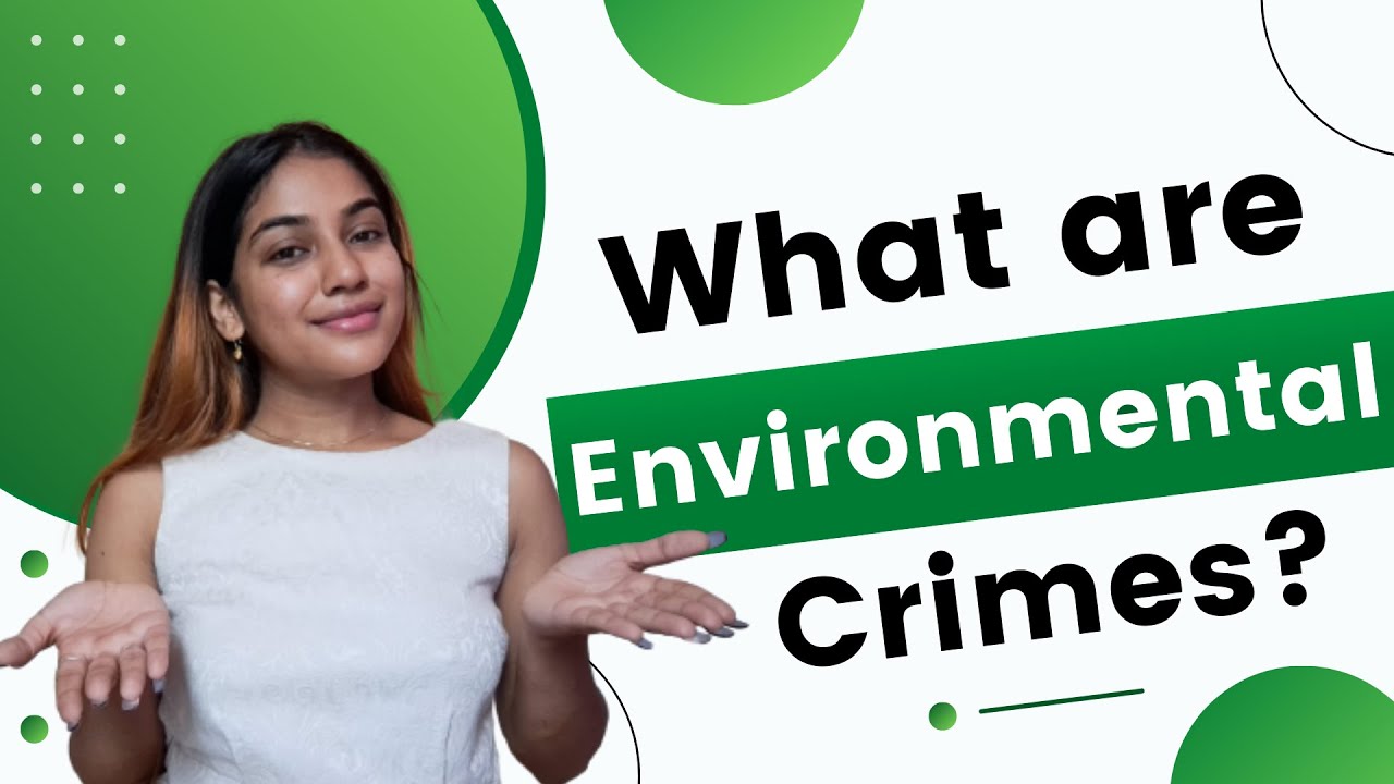 What are Environmental Crimes? | Environmental crime is an illegal act