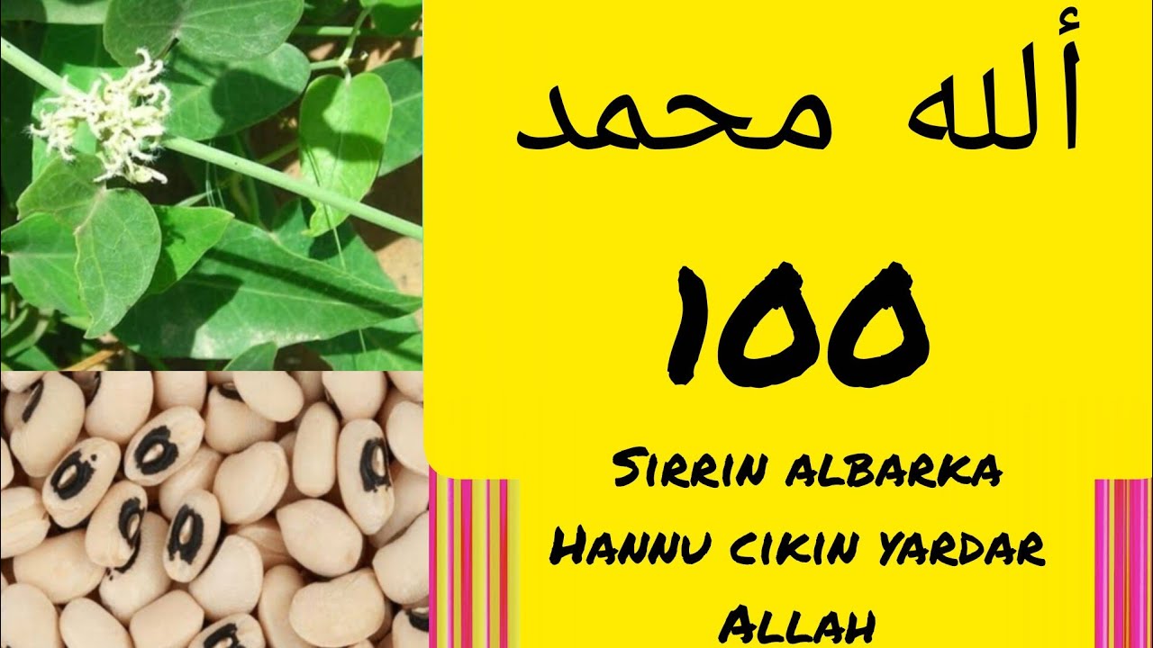 Sorrin samun albarka hannun cikin yardar Allah 