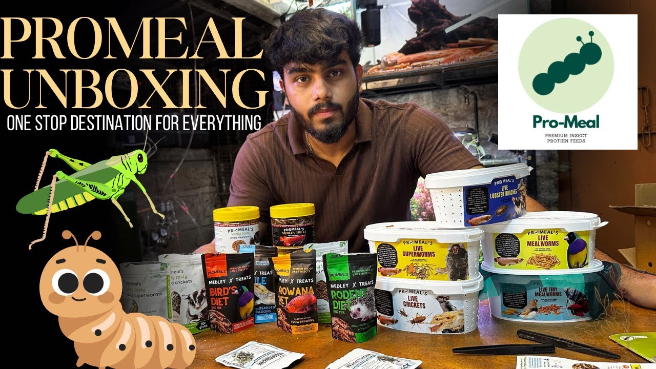 Unboxing PROMEAL fish food! Premium Insect Protein Feeds