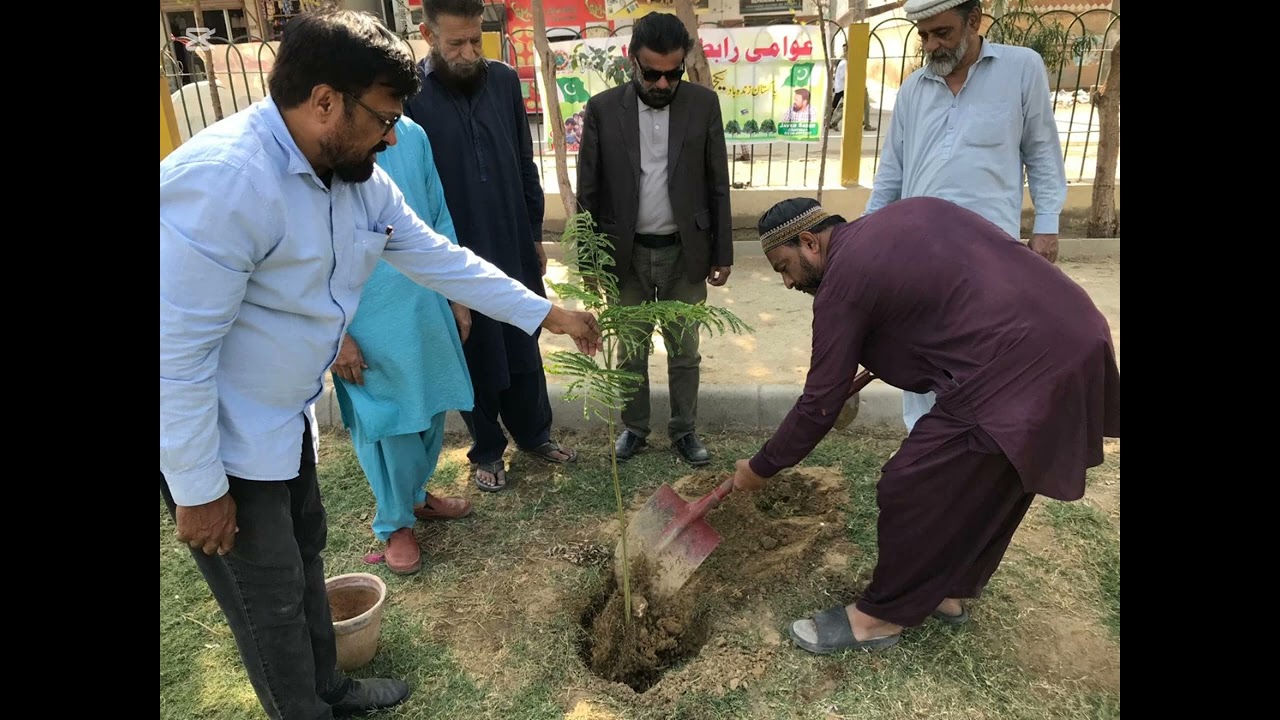 عوامی رابطہ کونسل کی شجرکاری کی سرگرمیاں،جنوری 2024 سے جون 2024 تک