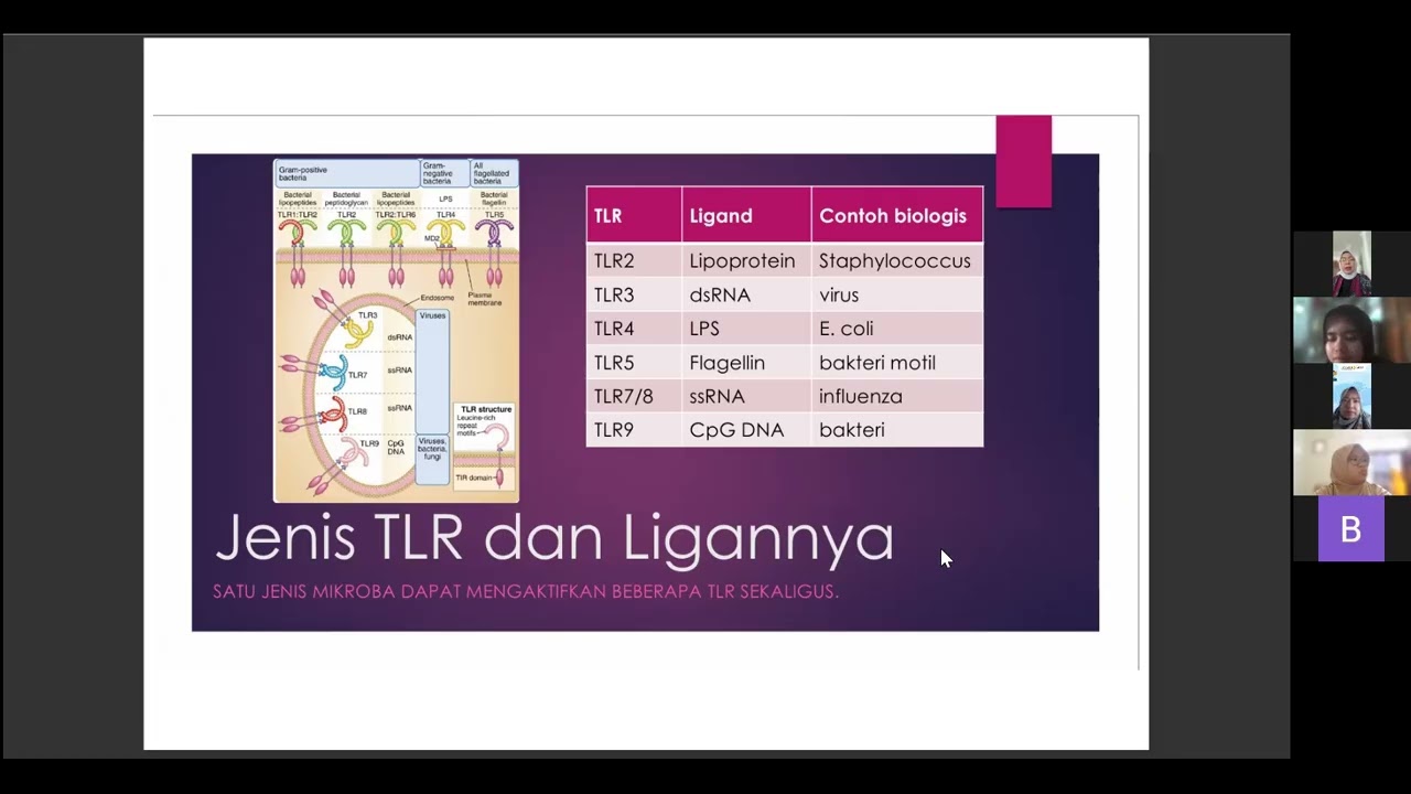 TLR pathway Innate Immunity - dr. aryani