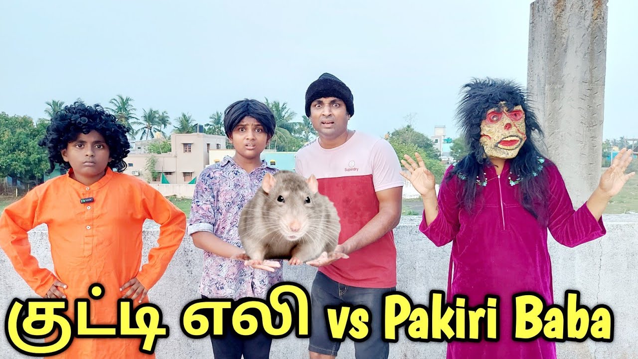 குட்டி எலி vs Pakiri Baba | comedy video | funny video | Prabhu Sarala lifestyle