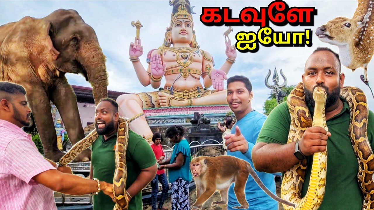 ஆபத்தில் முடிந்தது எமது பயணம்!😱 Trincomalee Tamil Vlogs | Alasteen Rock