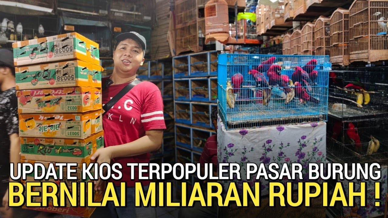 BUSET,,! BERAWAL DARI '0' SEKARANG BERNILAI MILIARAN RUPIAH DI PASAR BURUNG PRAMUKA KIOS SIGIT 