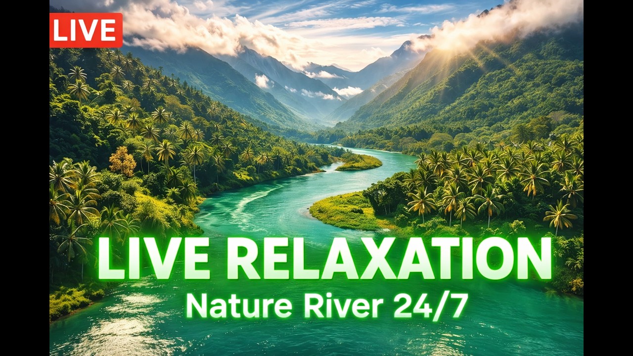 Deep Sleep Therapy with Natural Sounds 🌿 Stress Relief, Insomnia & Focus Healing