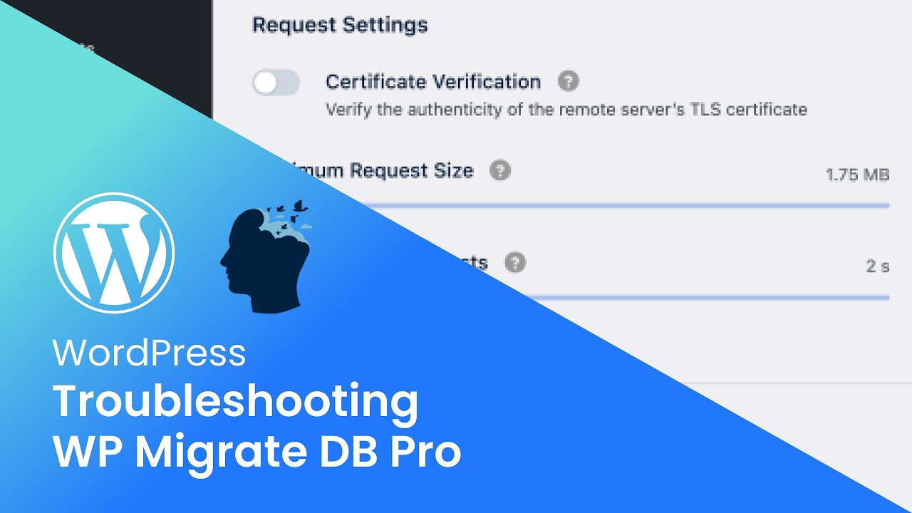 Troubleshoot WP Migrate DB Pro