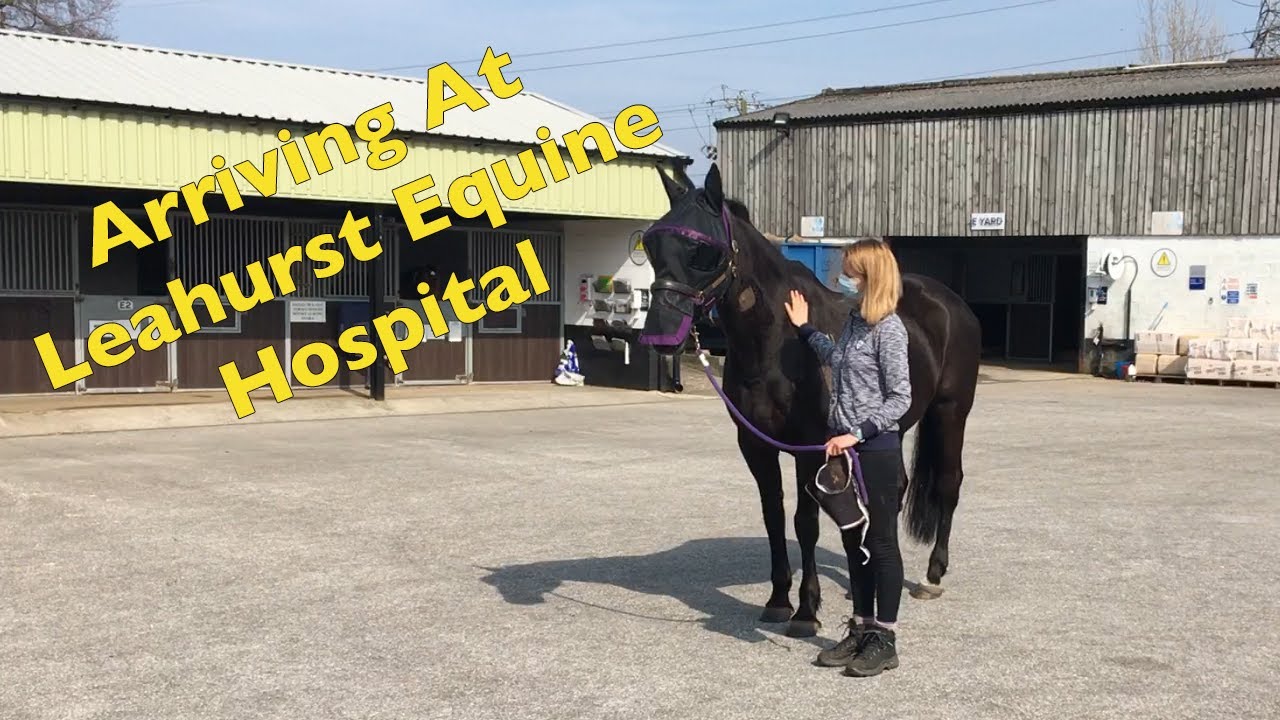Leahurst Equine Hospital Arriving at the University of Liverpool Leahurst Campus