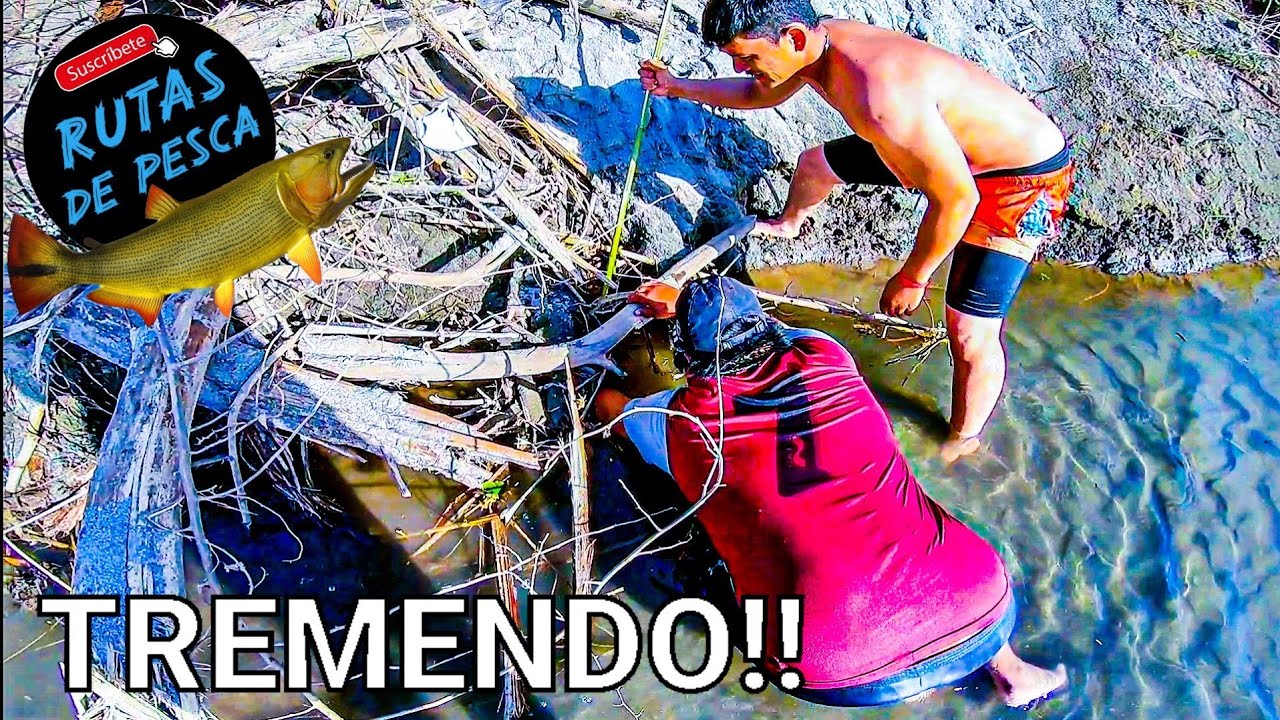 NO CREÍA LO QUE ESTABA ESCONDIDO EN LOS PALOS 😱 PESCA CON ARPON/FLECHA 🎣 Pesca a MANO, Tarariras
