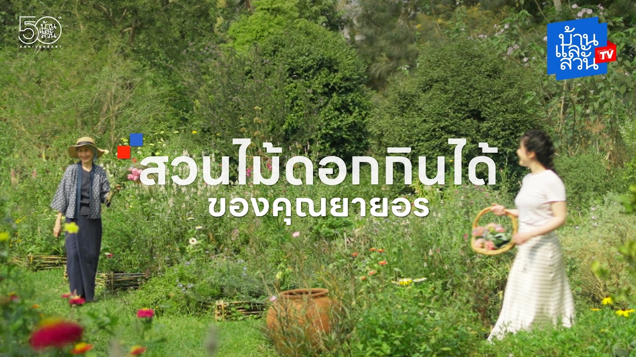 สวนไม้ดอกกินได้ ของคุณยายอร | บ้านและสวนทีวี